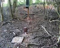 WatchTheDeer.com Live Camera 4