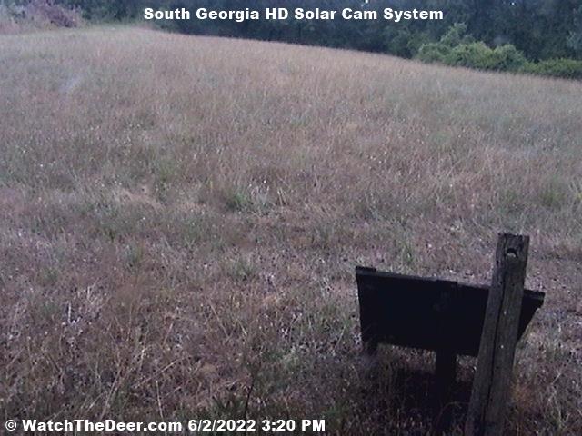 WatchTheDeer.com