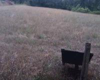 WatchTheDeer.com Live Camera 6